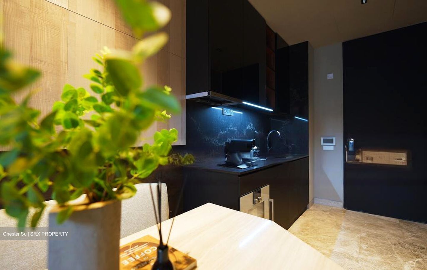 Jervois Privé (D10), Apartment #471706741